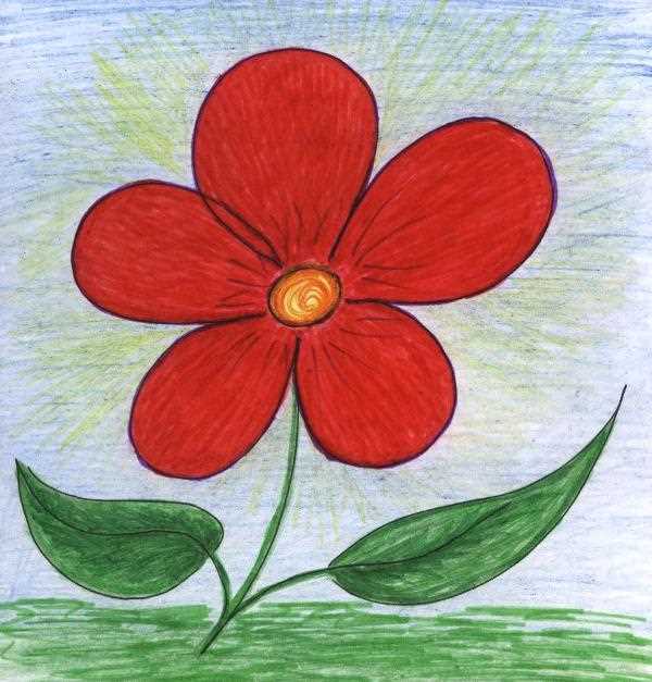 Фиалка Ален - нежный цветочек на подоконнике